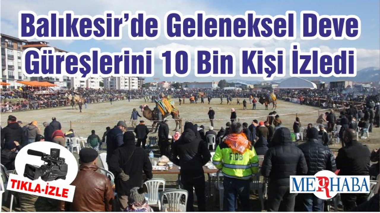 Balıkesir’de Geleneksel Deve Güreşlerini 10 Bin Kişi İzledi