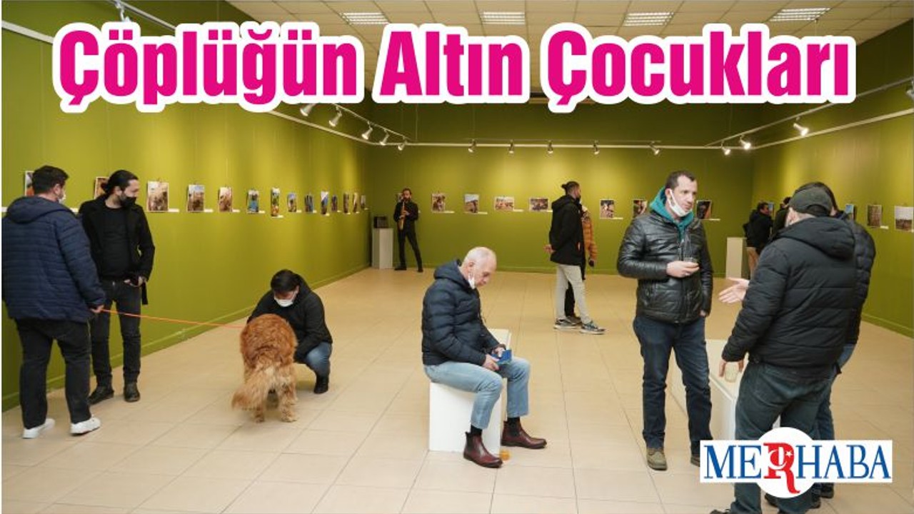 Çöplüğün Altın Çocukları