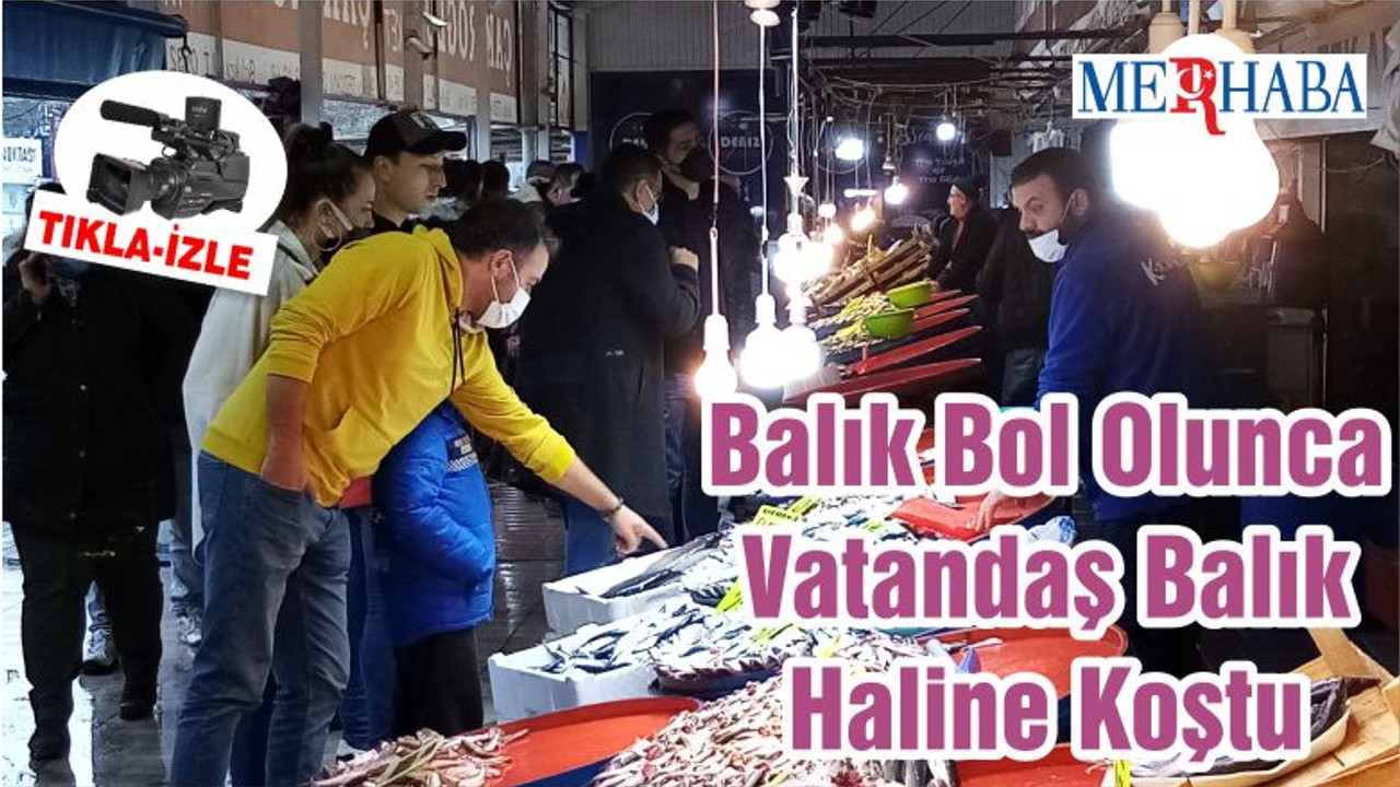 Balık Bol Olunca Vatandaş Balık Haline Koştu