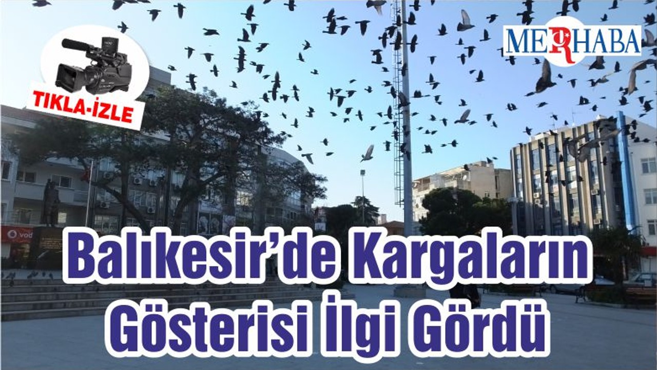 Balıkesir’de Kargaların Gösterisi İlgi Gördü