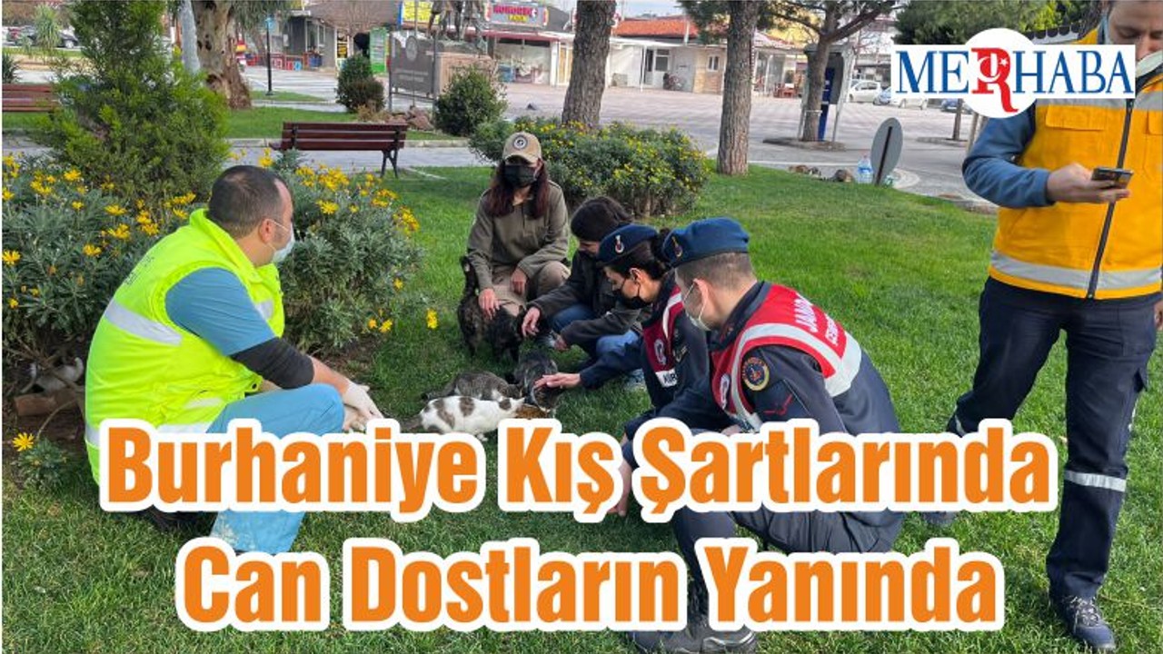 Burhaniye Kış Şartlarında Can Dostların Yanında
