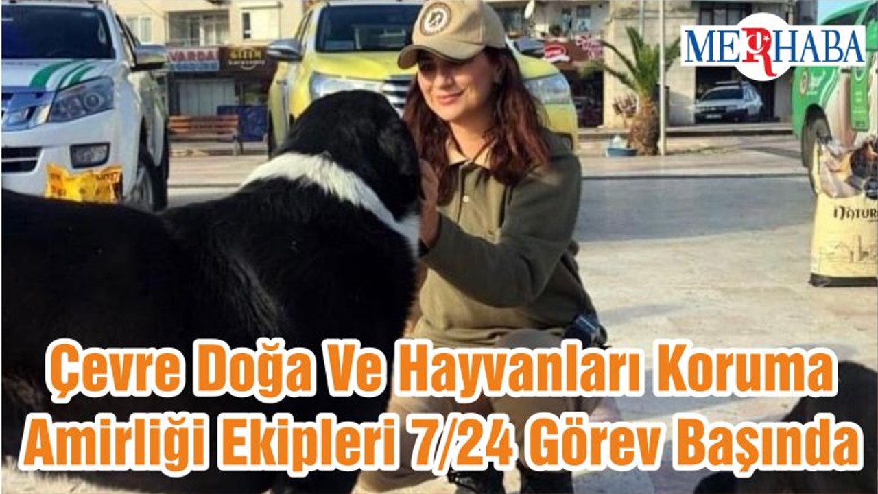 Çevre Doğa Ve Hayvanları Koruma Amirliği Ekipleri 7/24 Görev Başında