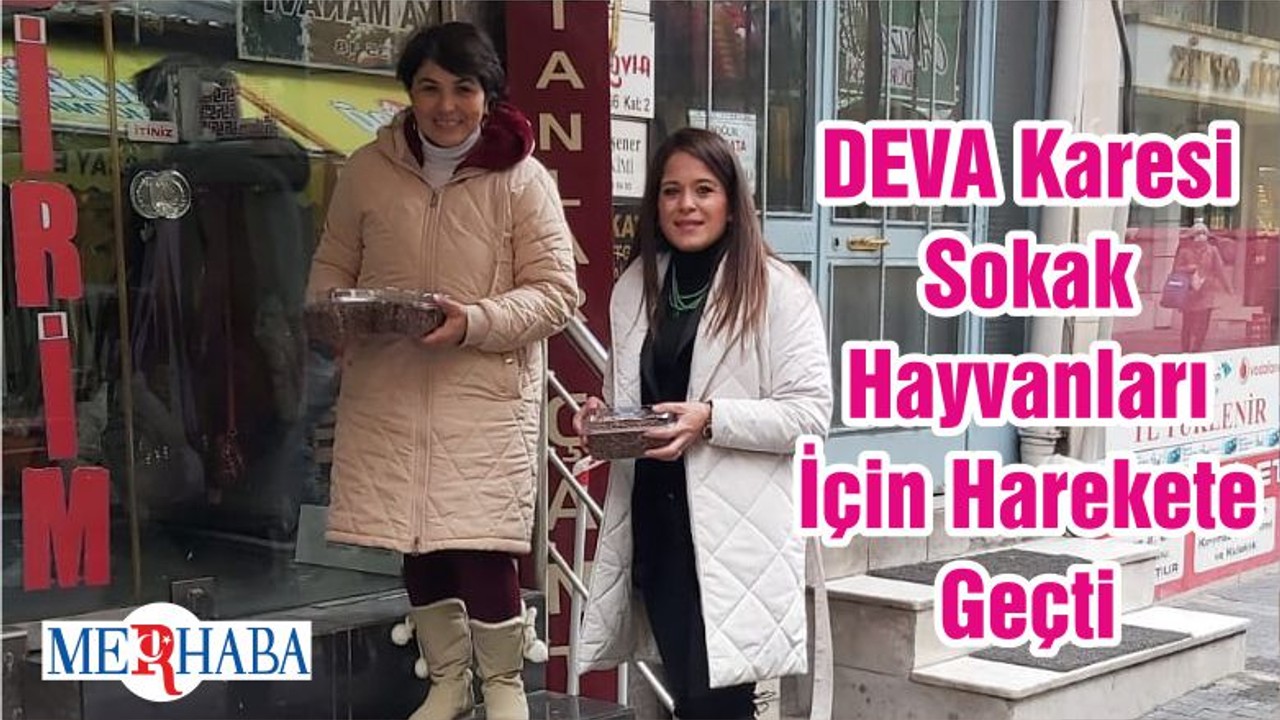 DEVA Karesi Sokak Hayvanları İçin Harekete Geçti