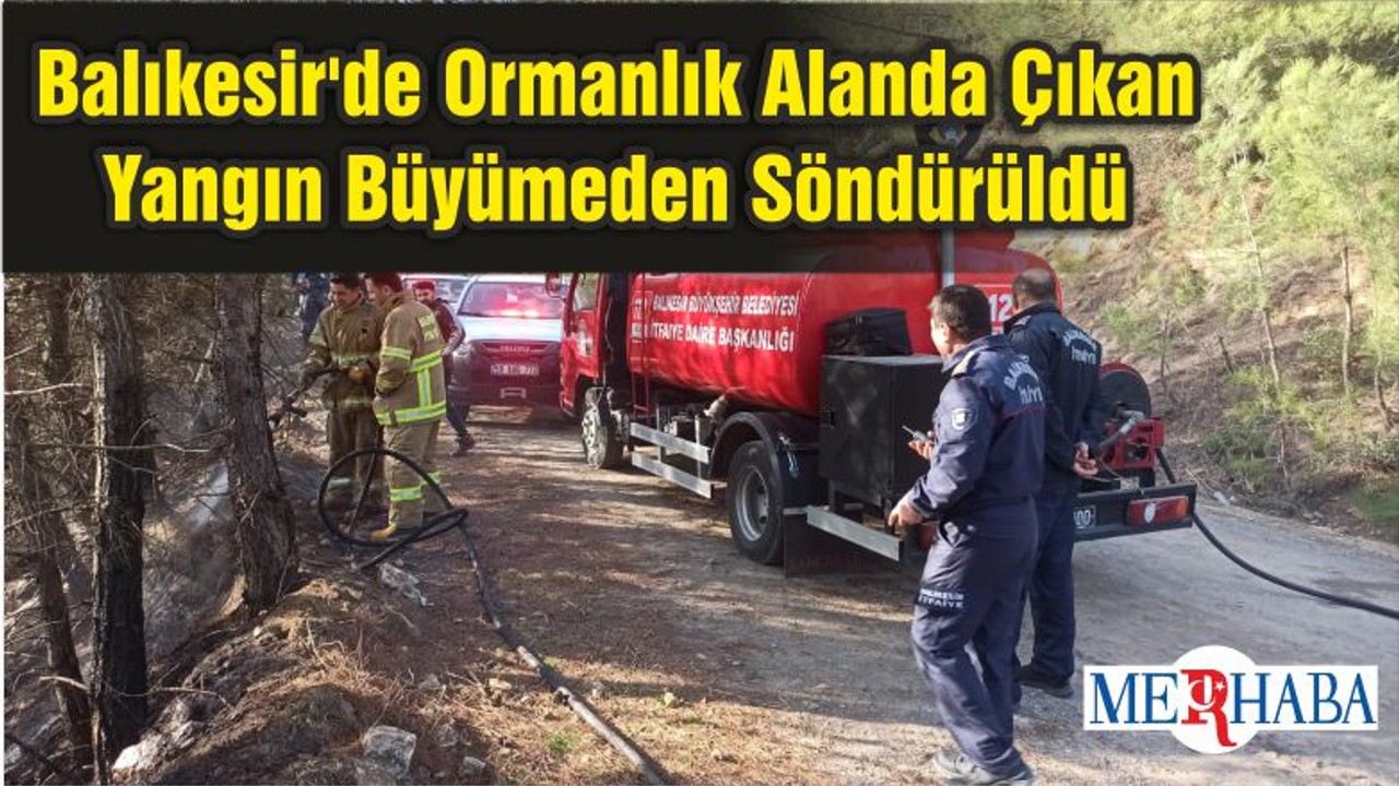 Balıkesir'de Ormanlık Alanda Çıkan Yangın Büyümeden Söndürüldü
