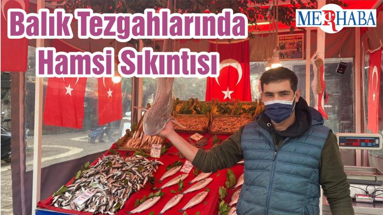 Balık Tezgahlarında Hamsi Sıkıntısı