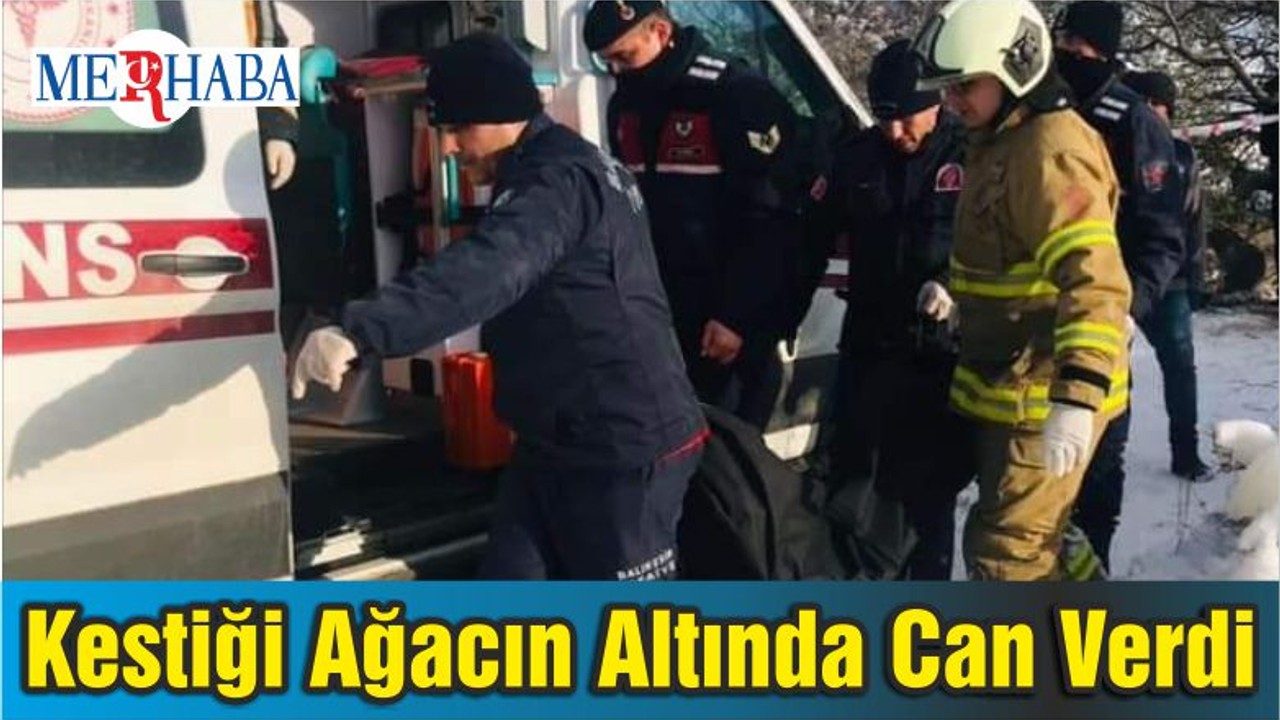 Cemaat Üşümesin Diye Odun Keserken Kestiği Ağacın Altında Can Verdi