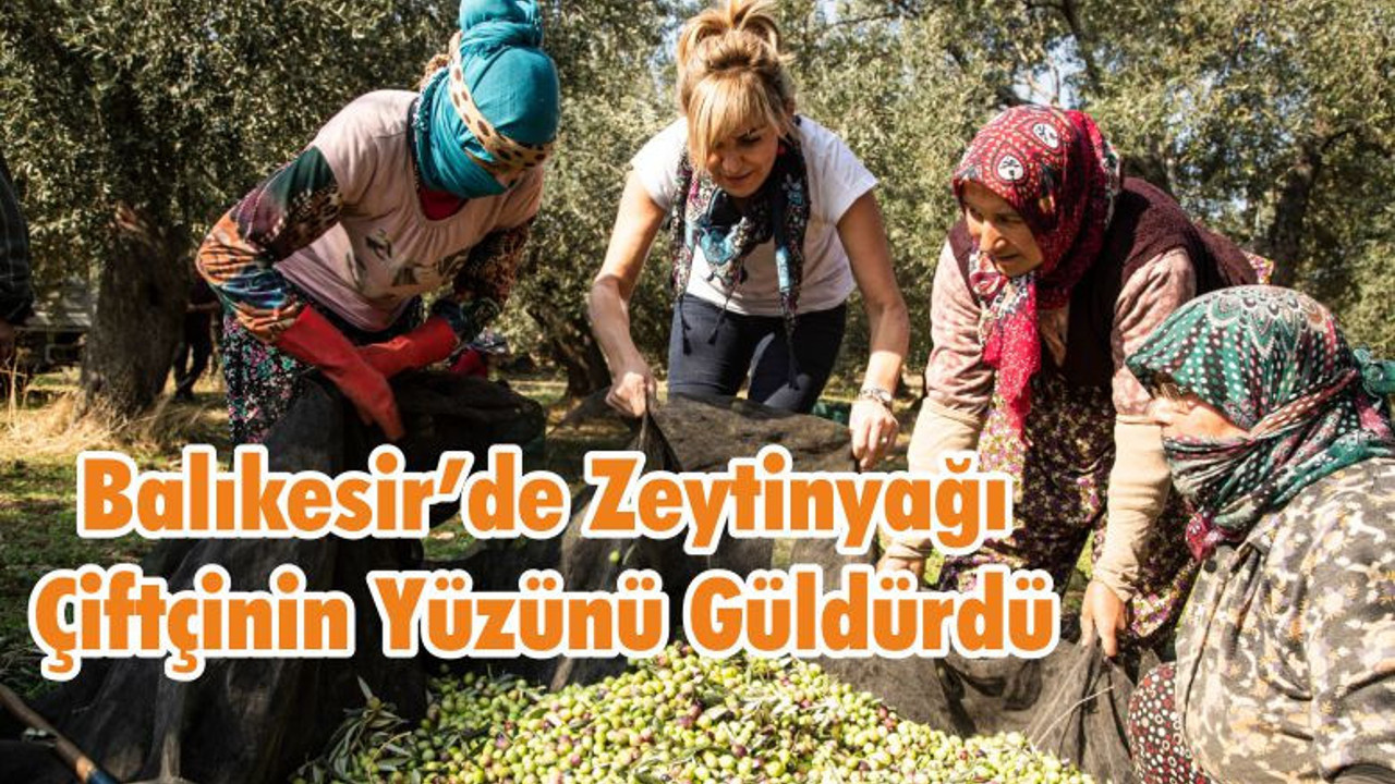 Balıkesir’de Zeytinyağı Çiftçinin Yüzünü Güldürdü