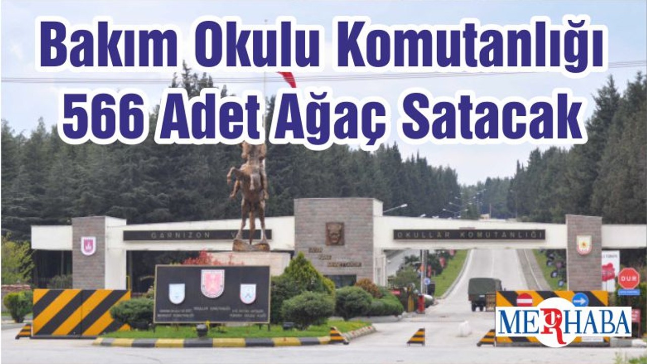 Bakım Okulu Komutanlığı 566 Adet Ağaç Satacak