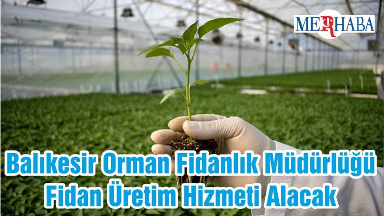 Balıkesir Orman Fidanlık Müdürlüğü Fidan Üretim Hizmeti Alacak