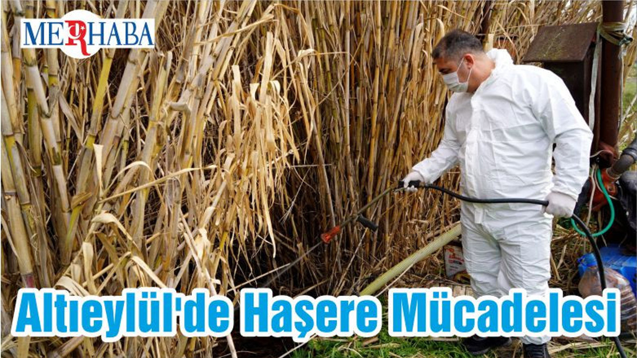 Altıeylül'de Haşere Mücadelesi