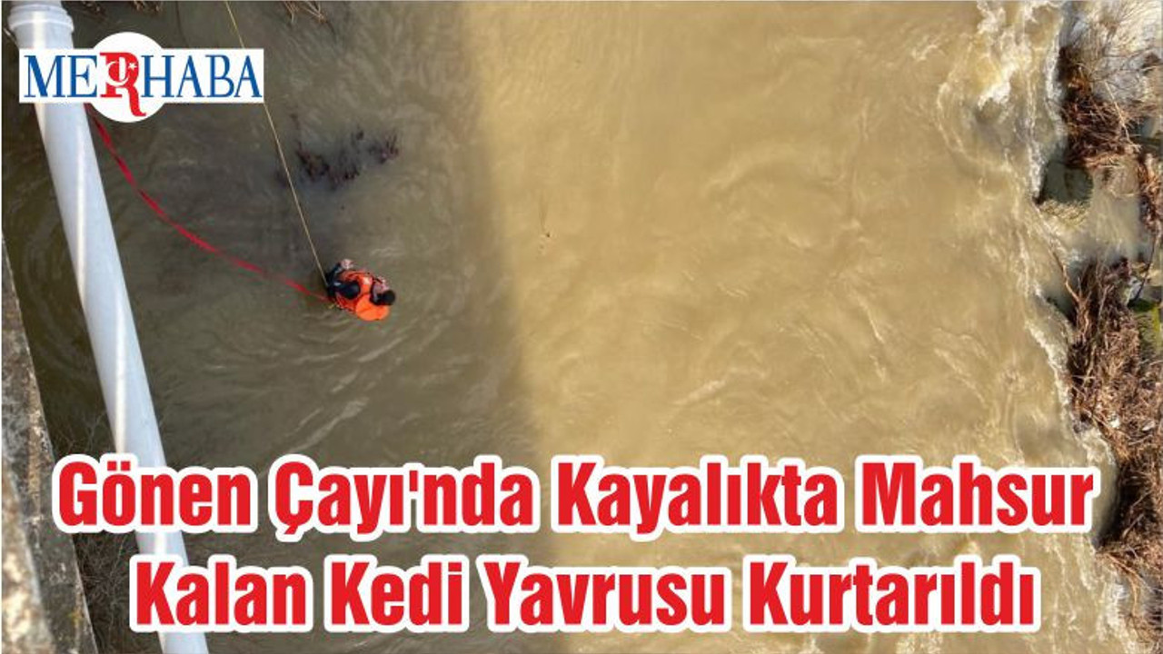 Gönen Çayı'nda Kayalıkta Mahsur Kalan Kedi Yavrusu Kurtarıldı