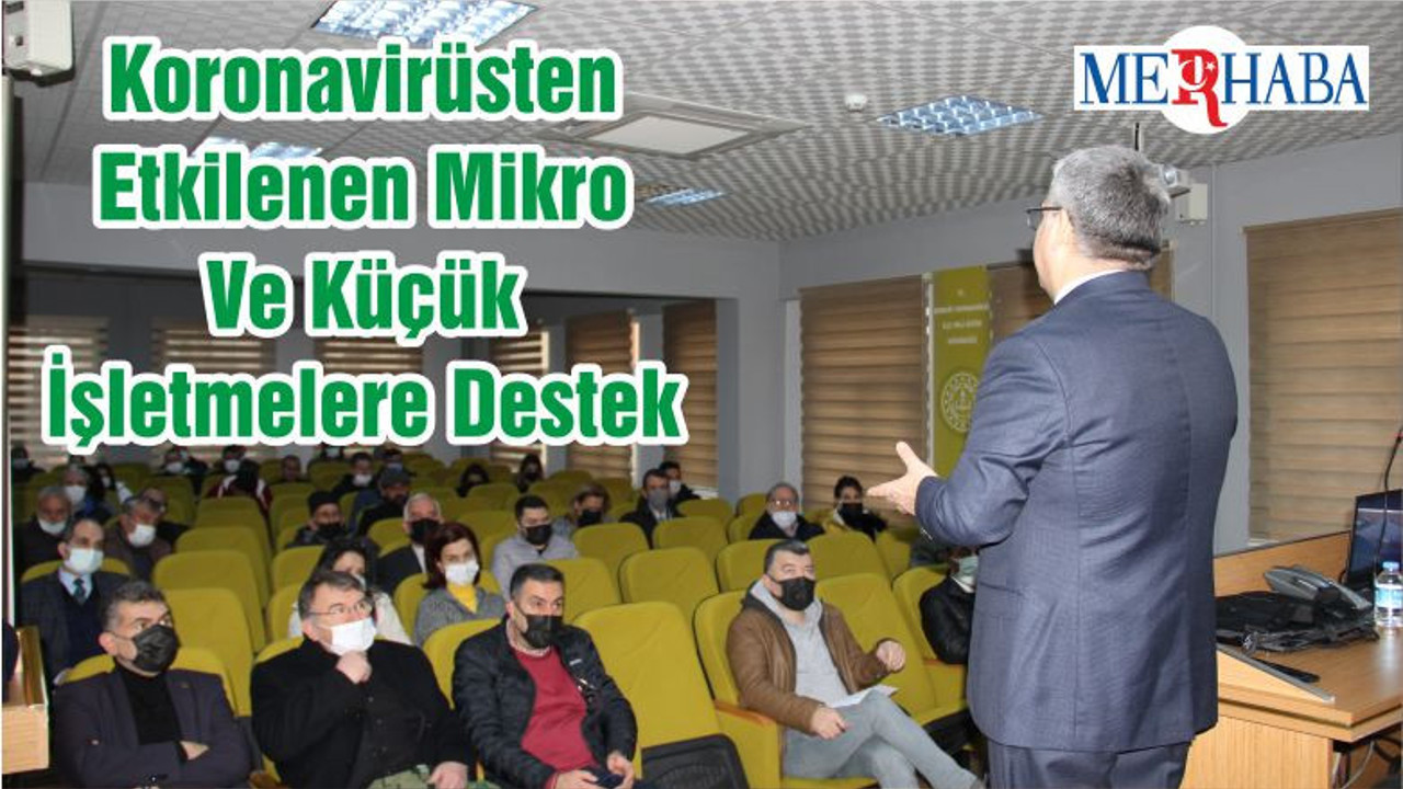 Koronavirüsten Etkilenen Mikro Ve Küçük İşletmelere Destek