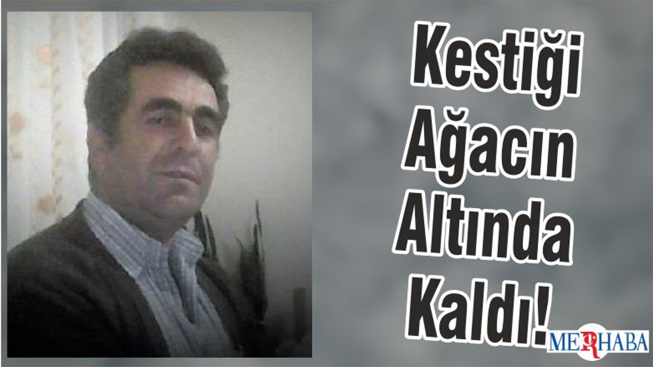Kestiği Ağacın Altında Kaldı!