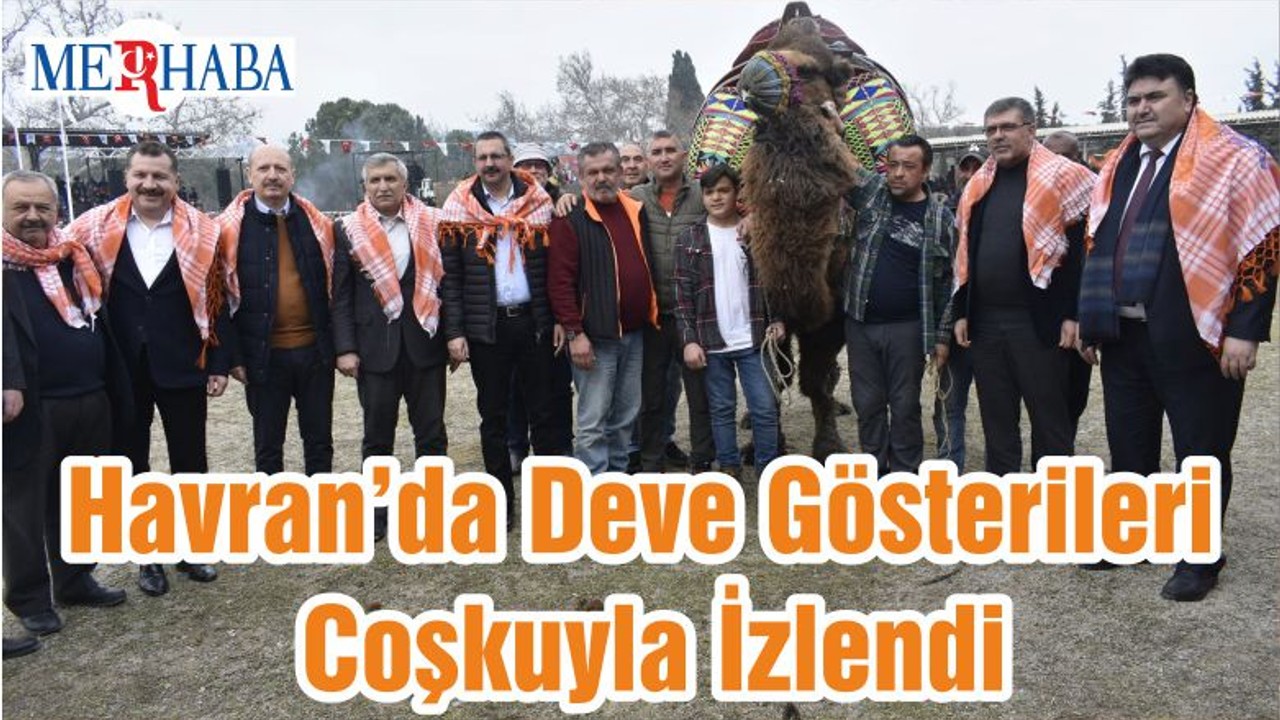 Havran’da Deve Gösterileri Coşkuyla İzlendi