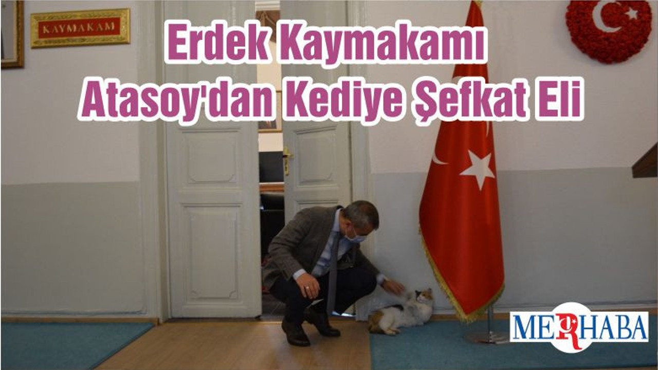 Erdek Kaymakamı Atasoy'dan Kediye Şefkat Eli