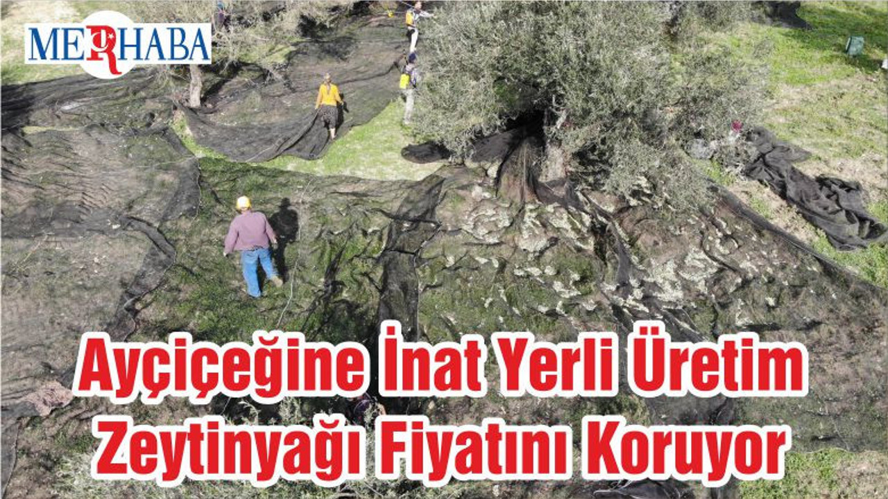 Ayçiçeğine İnat Yerli Üretim Zeytinyağı Fiyatını Koruyor