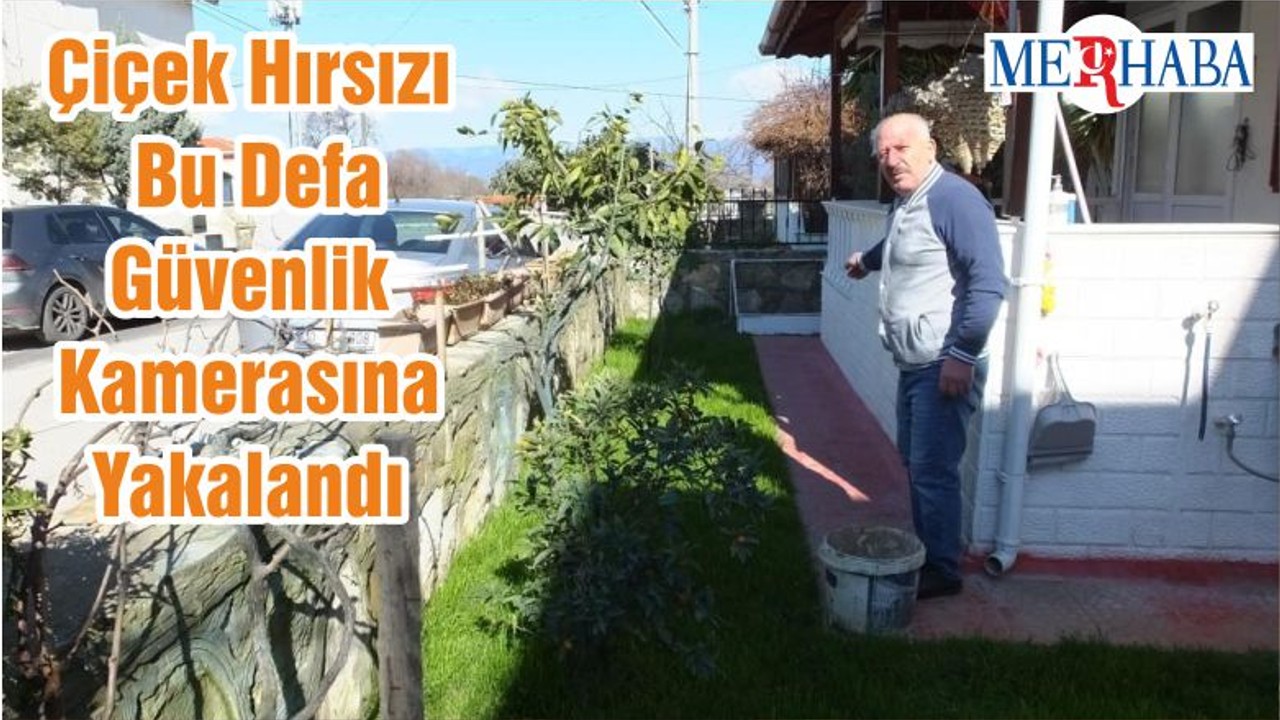 Çiçek Hırsızı Bu Defa Güvenlik Kamerasına Yakalandı