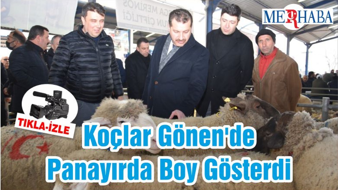 Koçlar Gönen'de Panayırda Boy Gösterdi