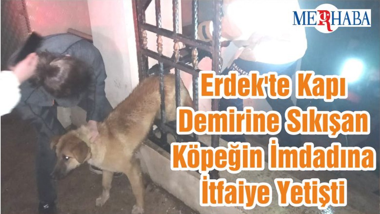 Erdek'te Kapı Demirine Sıkışan Köpeğin İmdadına İtfaiye Yetişti