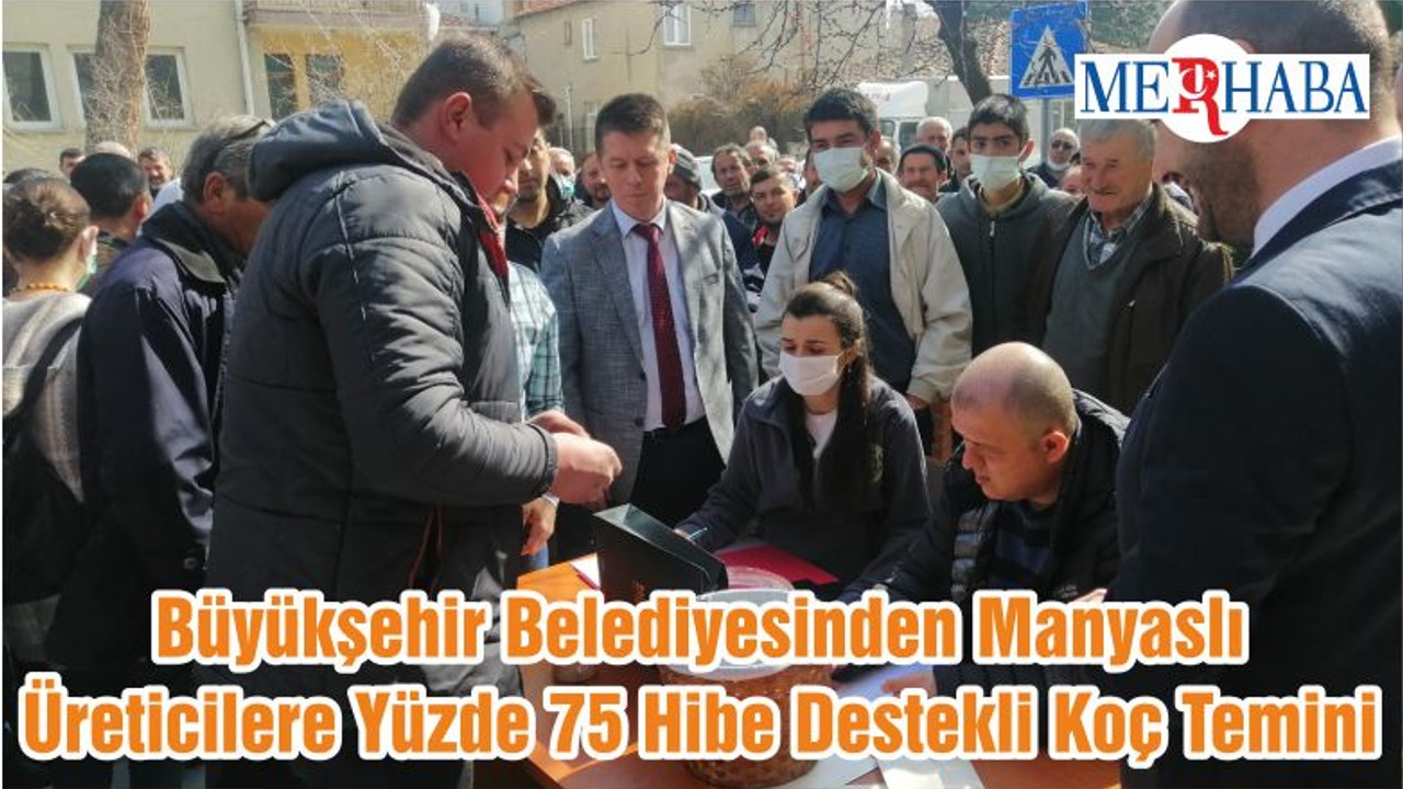 Büyükşehir Belediyesinden Manyaslı Üreticilere Yüzde 75 Hibe Destekli Koç Temini