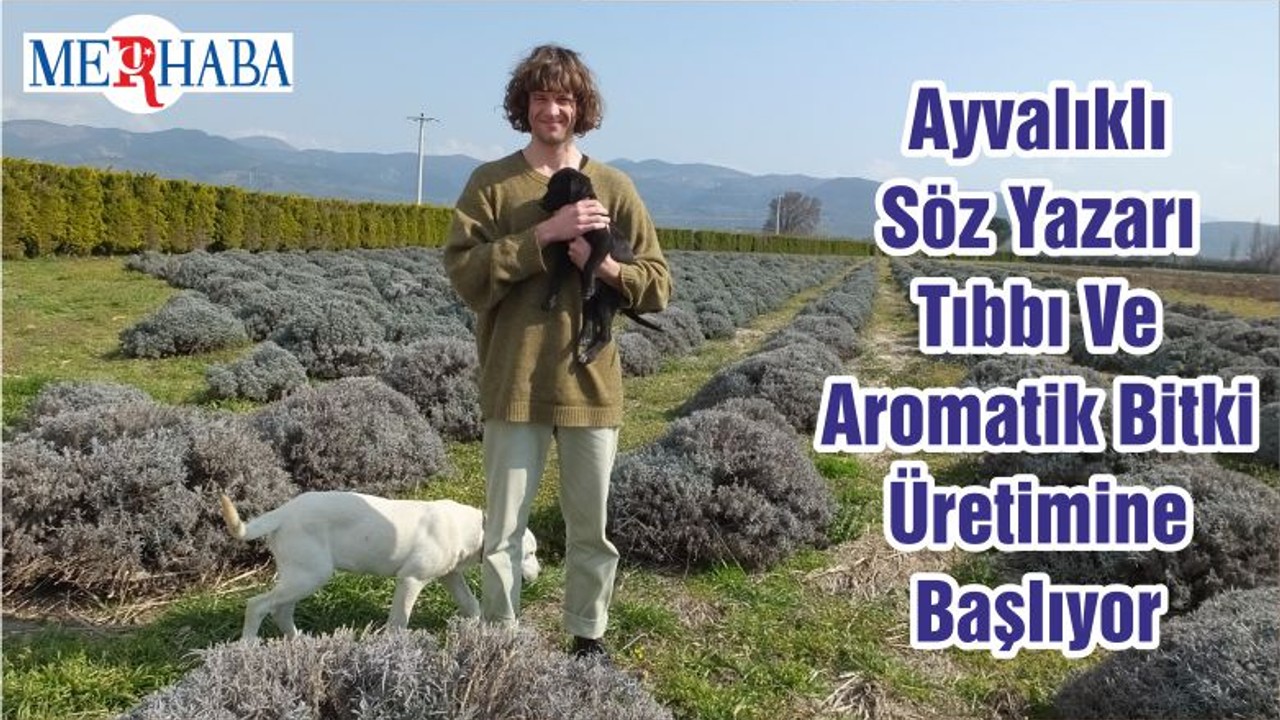 Ayvalıklı Söz Yazarı Tıbbı Ve Aromatik Bitki Üretimine Başlıyor