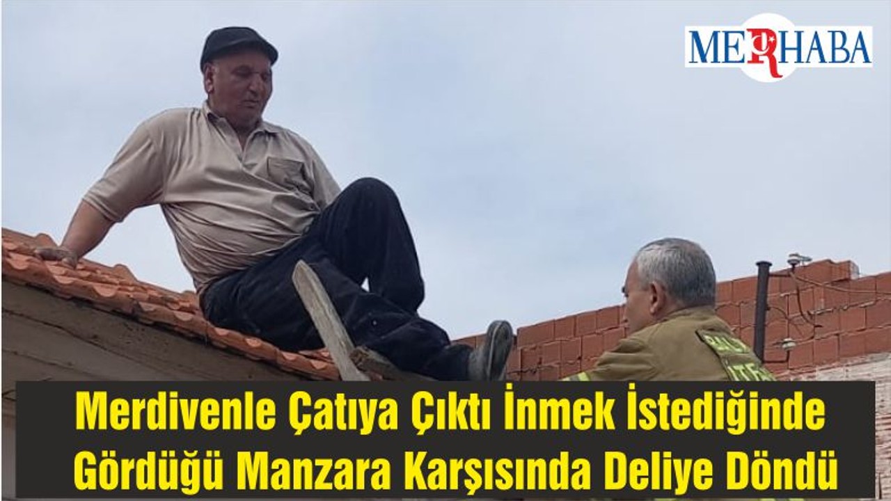 Merdivenle Çatıya Çıktı İnmek İstediğinde Gördüğü Manzara Karşısında Deliye Döndü