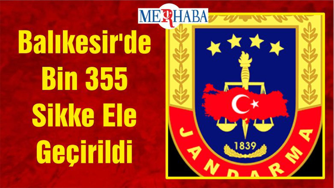 Balıkesir'de Bin 355 Sikke Ele Geçirildi
