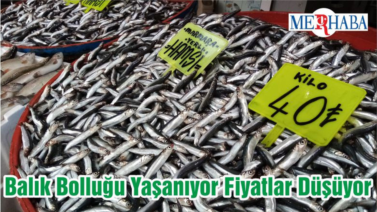 Balık Bolluğu Yaşanıyor Fiyatlar Düşüyor