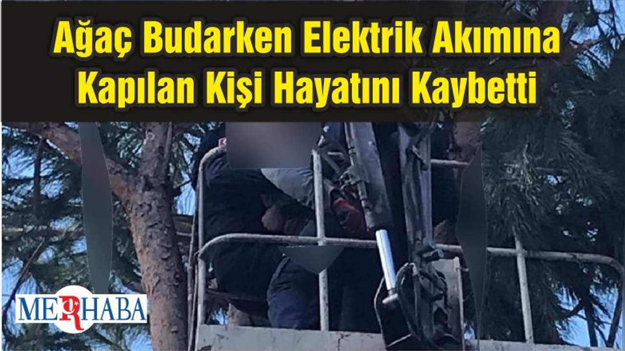 Ağaç Budarken Elektrik Akımına Kapılan Kişi Hayatını Kaybetti