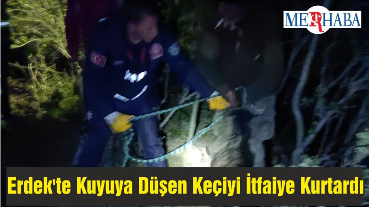 Erdek'te Kuyuya Düşen Keçiyi İtfaiye Kurtardı