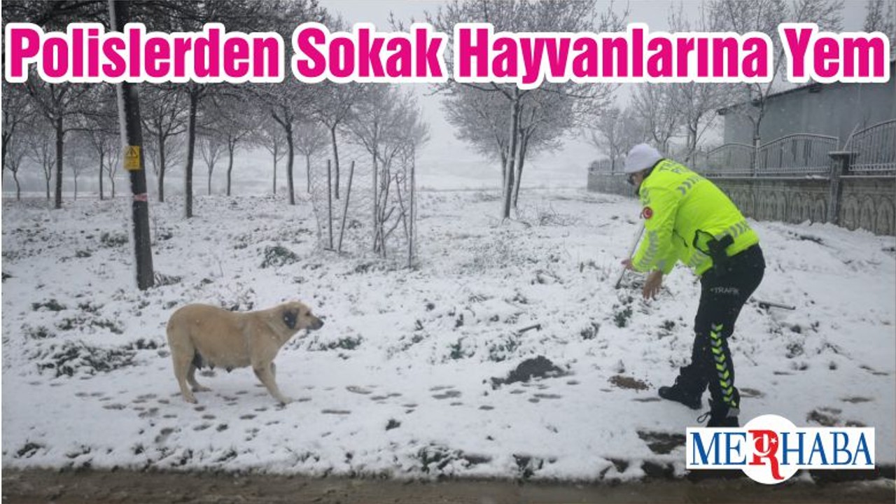 Polislerden Sokak Hayvanlarına Yem