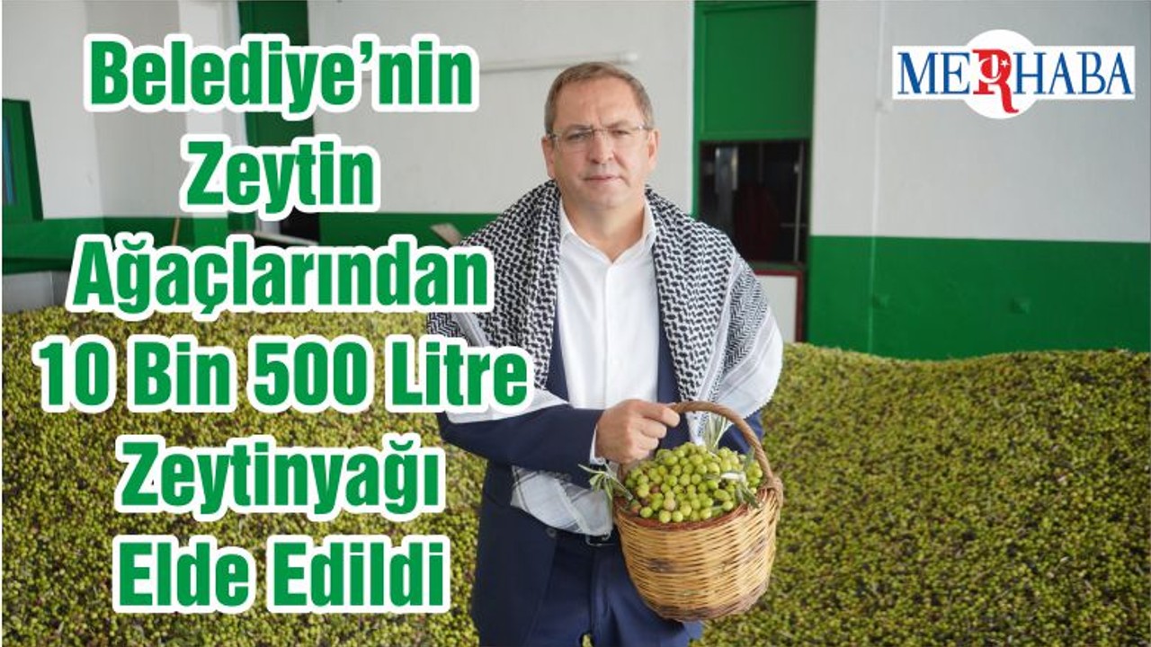 Belediye’nin Zeytin Ağaçlarından 10 Bin 500 Litre Zeytinyağı Elde Edildi
