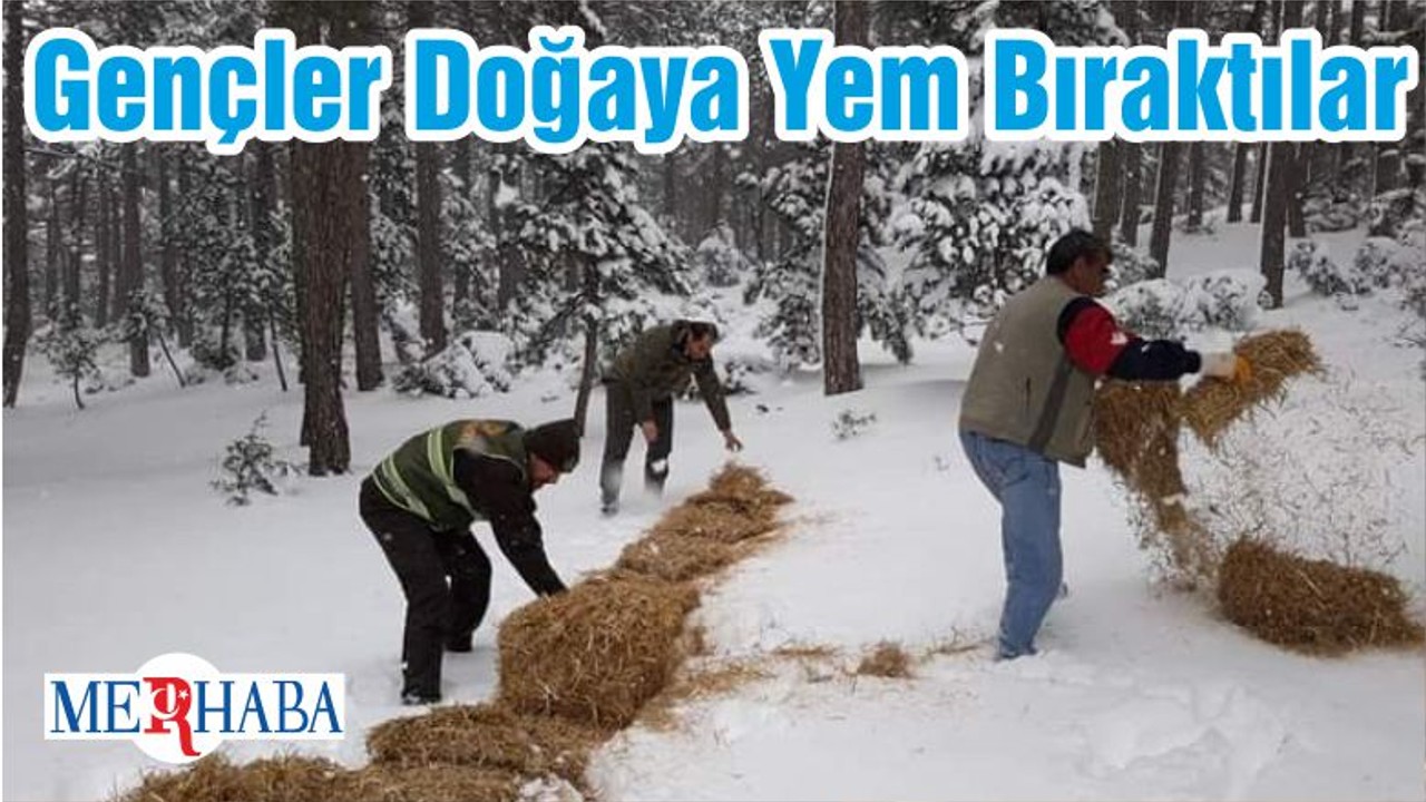 Gençler Doğaya Yem Bıraktılar