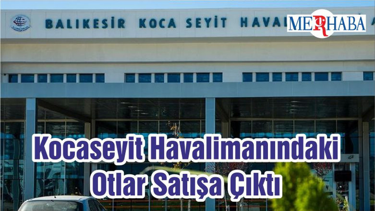 Kocaseyit Havalimanındaki Otlar Satışa Çıktı