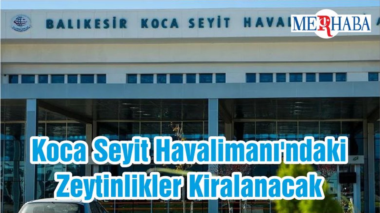 Koca Seyit Havalimanı'ndaki Zeytinlikler Kiralanacak