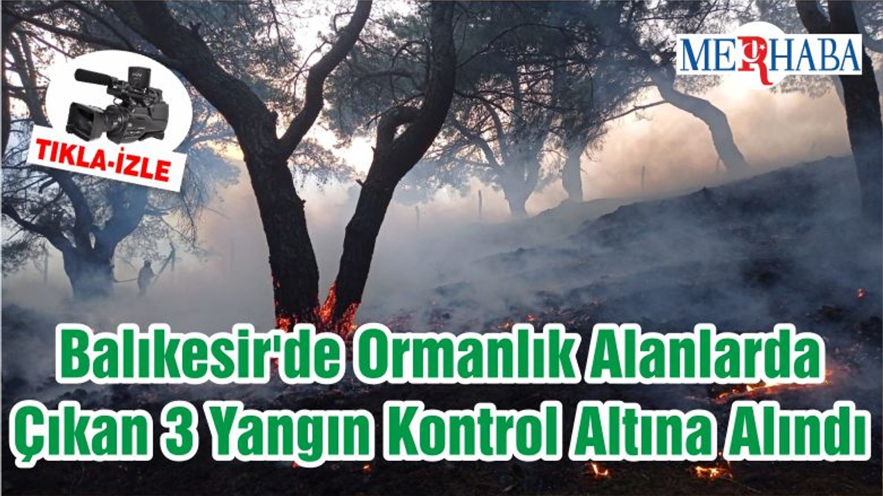 Balıkesir'de Ormanlık Alanlarda Çıkan 3 Yangın Kontrol Altına Alındı