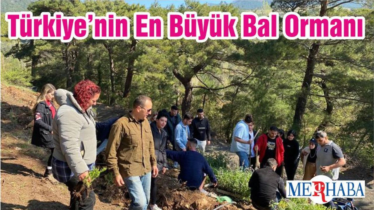 Türkiye’nin En Büyük Bal Ormanı