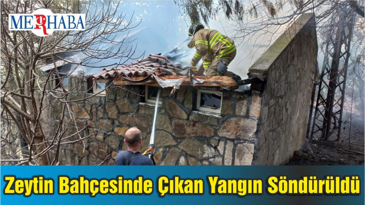 Balıkesir'de Zeytin Bahçesinde Çıkan Yangın Söndürüldü