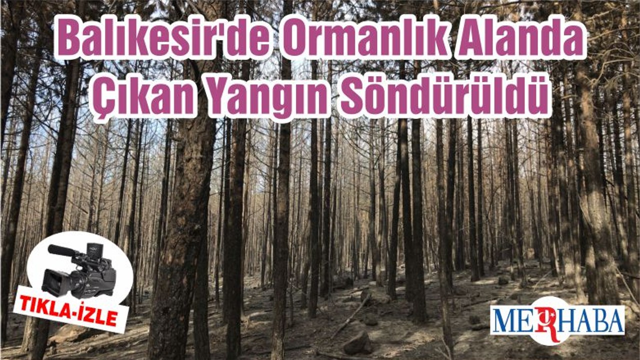 Balıkesir'de Ormanlık Alanda Çıkan Yangın Söndürüldü