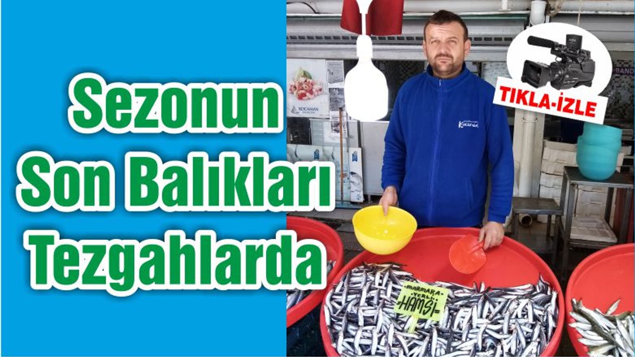 Sezonun Son Balıkları Tezgahlarda