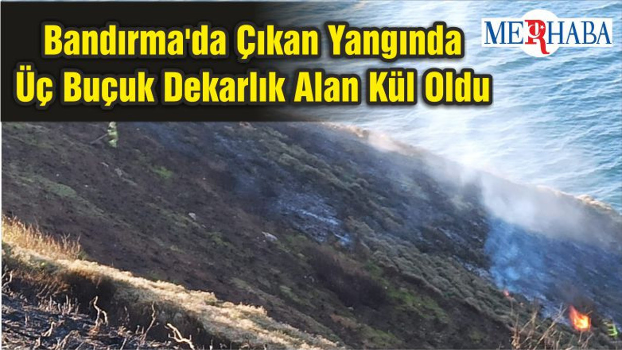 Bandırma'da Çıkan Yangında Üç Buçuk Dekarlık Alan Kül Oldu