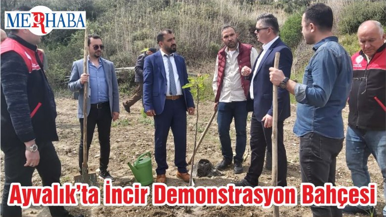 Ayvalık’ta İncir Demonstrasyon Bahçesi