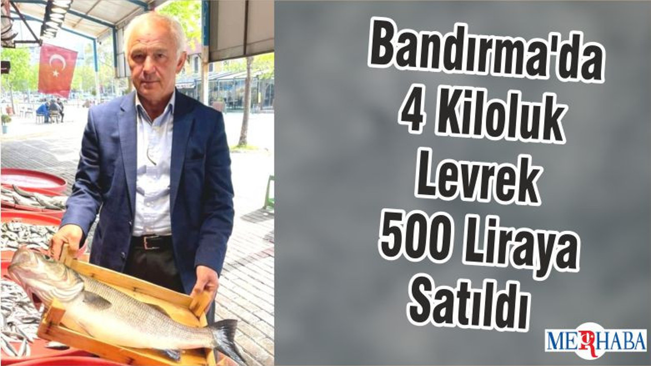 Bandırma'da 4 Kiloluk Levrek 500 Liraya Satıldı