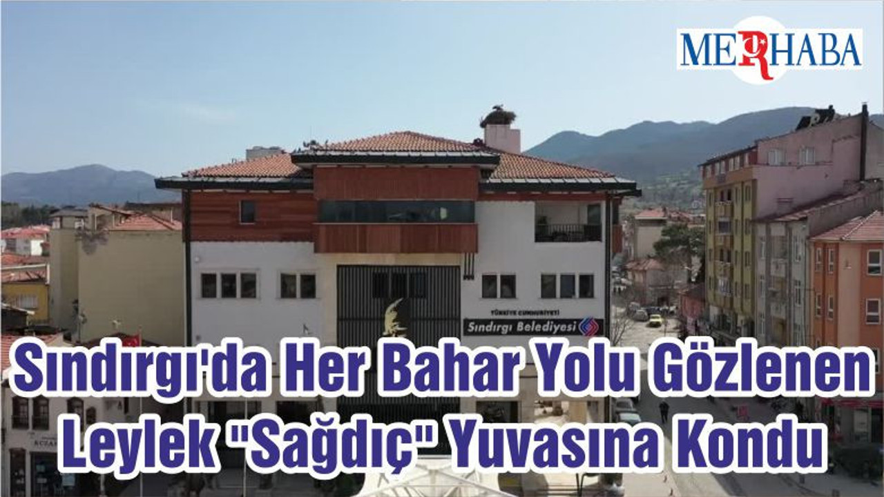 Sındırgı'da Her Bahar Yolu Gözlenen Leylek "Sağdıç" Yuvasına Kondu