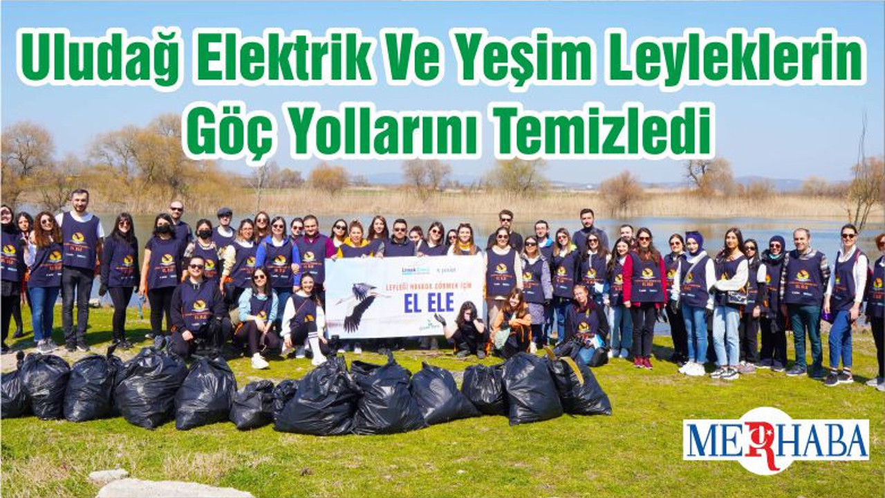 Uludağ Elektrik Ve Yeşim Leyleklerin Göç Yollarını Temizledi