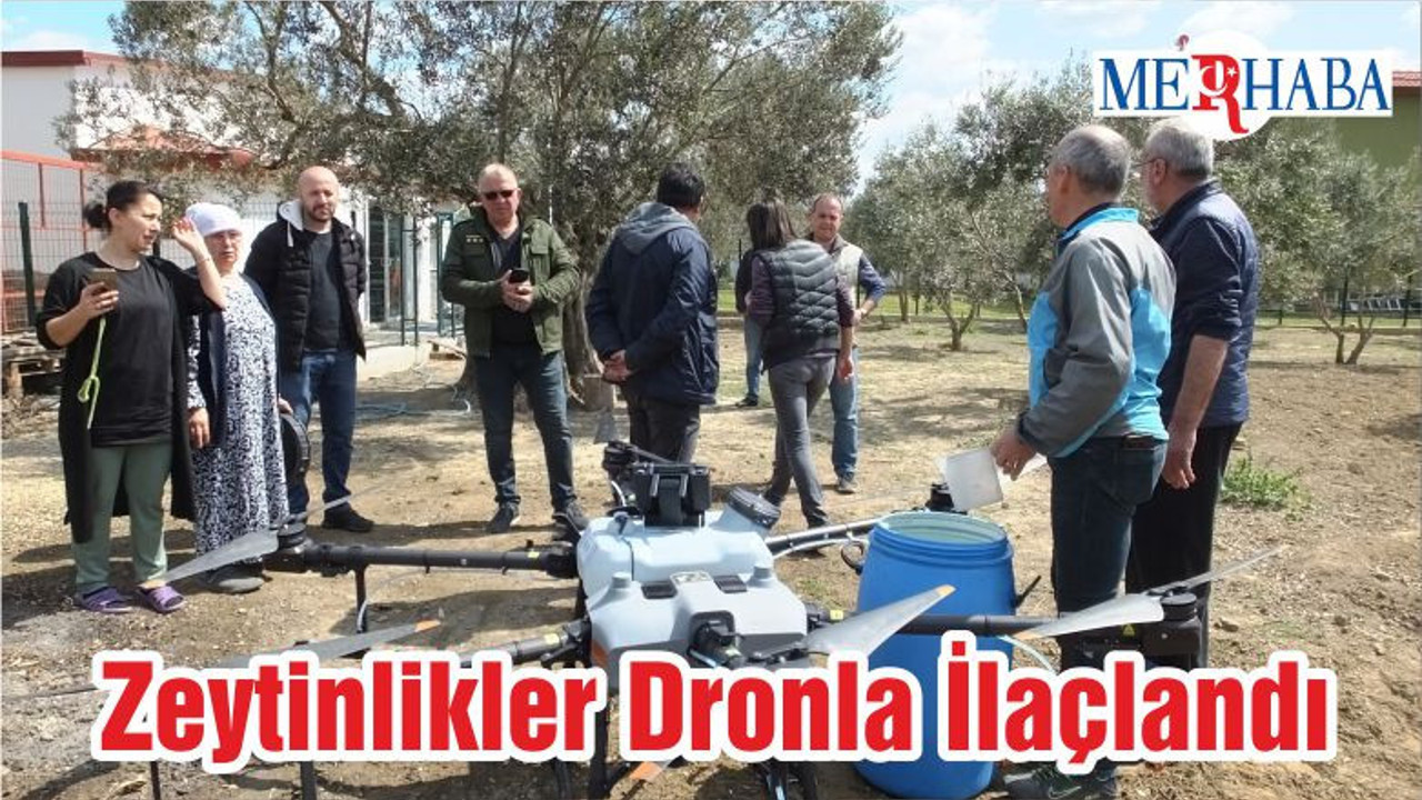 Zeytinlikler Dronla İlaçlandı