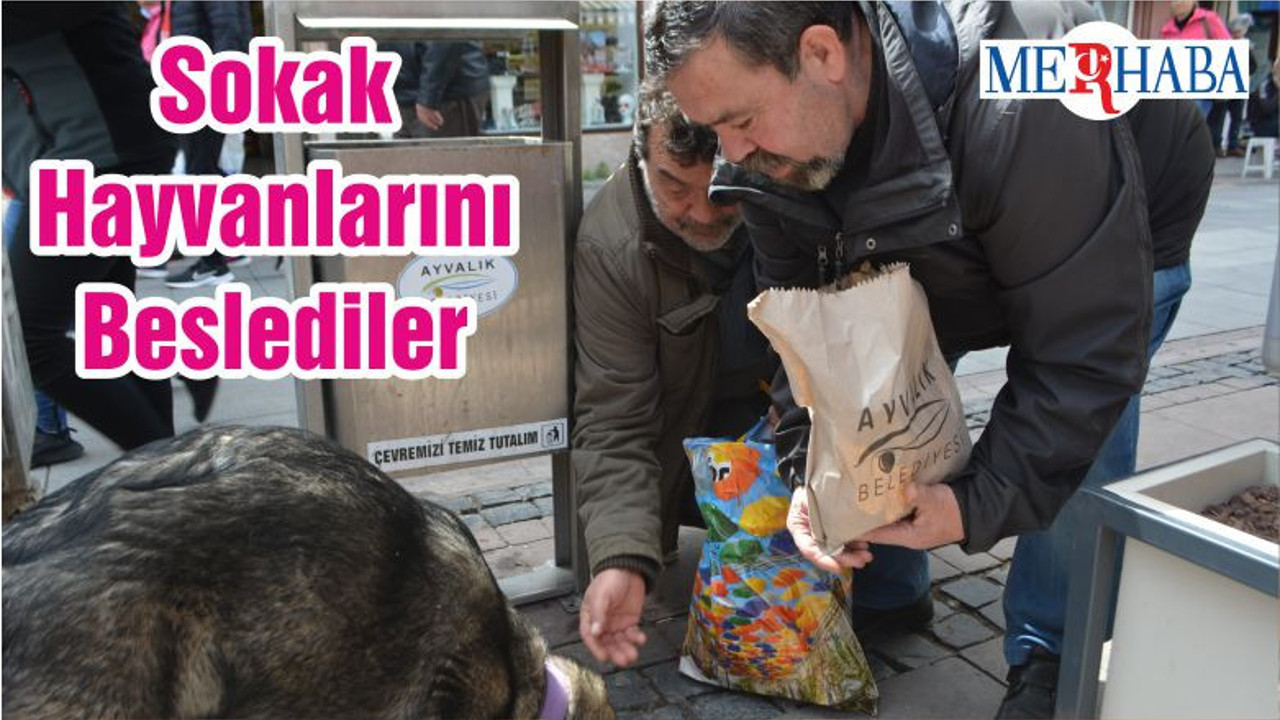 Sokak Hayvanlarını Beslediler