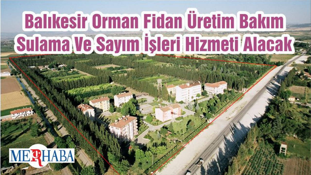 Balıkesir Orman Fidan Üretim Bakım Sulama Ve Sayım İşleri Hizmeti Alacak
