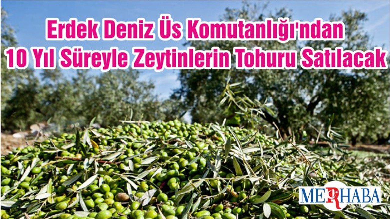 Erdek Deniz Üs Komutanlığı'ndan 10 Yıl Süreyle Zeytinlerin Tohuru Satılacak