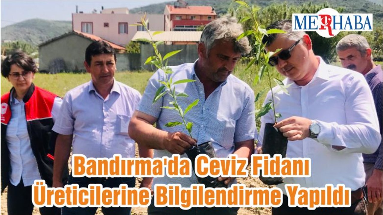Bandırma'da Ceviz Fidanı Üreticilerine Bilgilendirme Yapıldı
